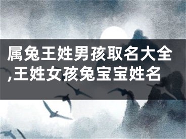 属兔王姓男孩取名大全,王姓女孩兔宝宝姓名
