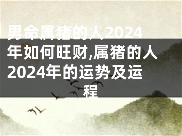 男命属猪的人2024年如何旺财,属猪的人2024年的运势及运程
