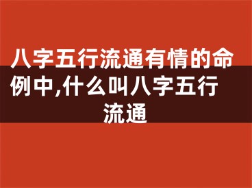 八字五行流通有情的命例中,什么叫八字五行流通