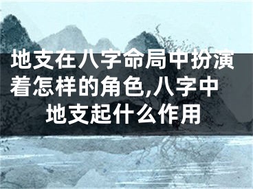 地支在八字命局中扮演着怎样的角色,八字中地支起什么作用