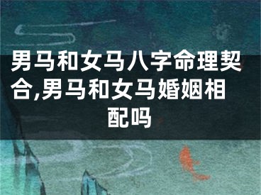 男马和女马八字命理契合,男马和女马婚姻相配吗