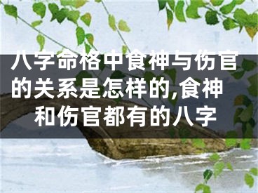 八字命格中食神与伤官的关系是怎样的,食神和伤官都有的八字