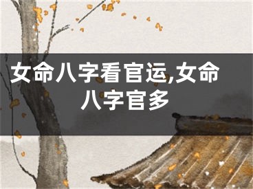女命八字看官运,女命八字官多