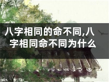 八字相同的命不同,八字相同命不同为什么