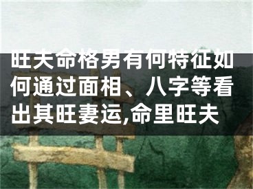 旺夫命格男有何特征如何通过面相、八字等看出其旺妻运,命里旺夫