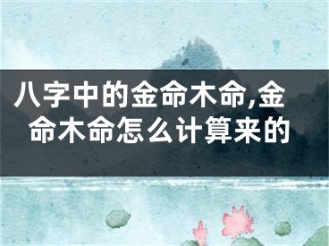 八字中的金命木命,金命木命怎么计算来的
