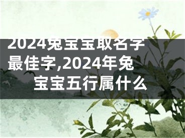2024兔宝宝取名字最佳字,2024年兔宝宝五行属什么