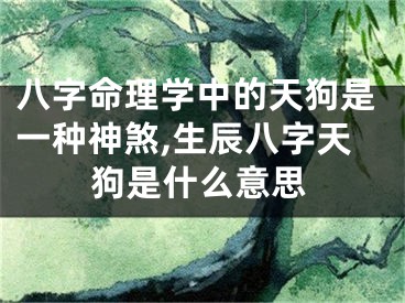 八字命理学中的天狗是一种神煞,生辰八字天狗是什么意思