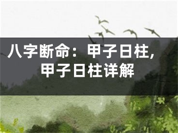 八字断命：甲子日柱,甲子日柱详解