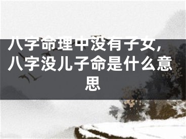 八字命理中没有子女,八字没儿子命是什么意思