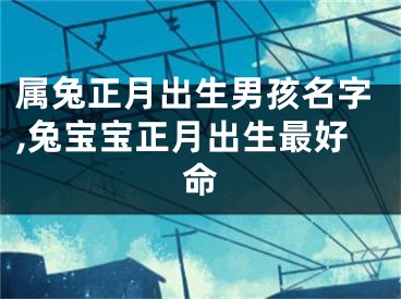 属兔正月出生男孩名字,兔宝宝正月出生最好命