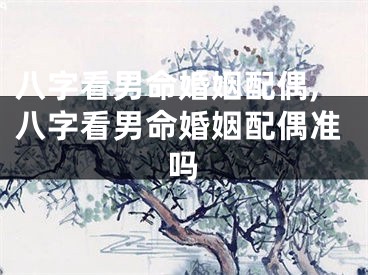 八字看男命婚姻配偶,八字看男命婚姻配偶准吗