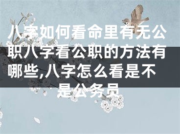 八字如何看命里有无公职八字看公职的方法有哪些,八字怎么看是不是公务员