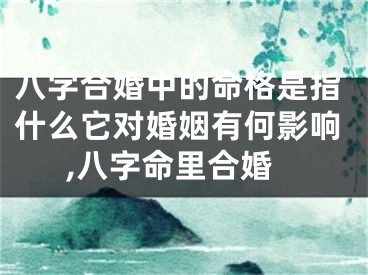八字合婚中的命格是指什么它对婚姻有何影响,八字命里合婚