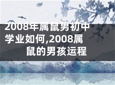 2008年属鼠男初中学业如何,2008属鼠的男孩运程
