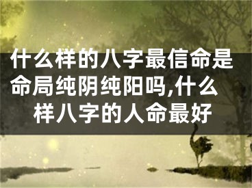 什么样的八字最信命是命局纯阴纯阳吗,什么样八字的人命最好