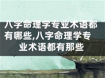八字命理学专业术语都有哪些,八字命理学专业术语都有那些
