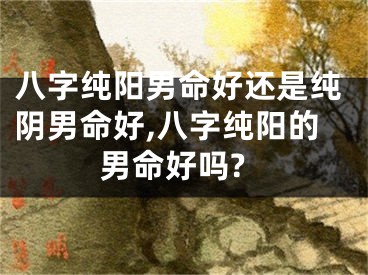 八字纯阳男命好还是纯阴男命好,八字纯阳的男命好吗?