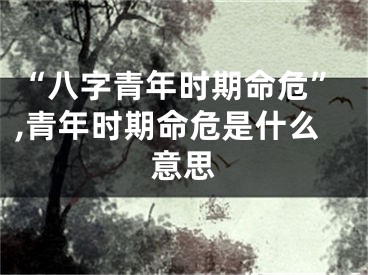“八字青年时期命危”,青年时期命危是什么意思