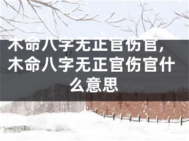 木命八字无正官伤官,木命八字无正官伤官什么意思