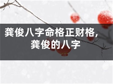 龚俊八字命格正财格,龚俊的八字