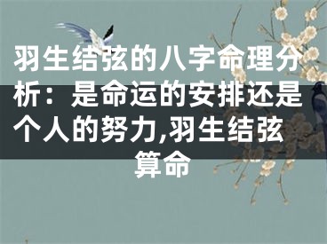 羽生结弦的八字命理分析：是命运的安排还是个人的努力,羽生结弦算命