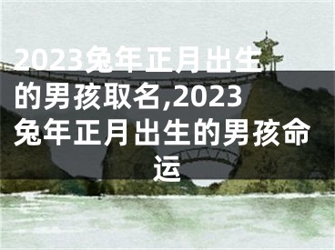 2023兔年正月出生的男孩取名,2023兔年正月出生的男孩命运