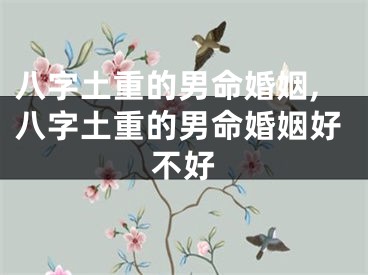 八字土重的男命婚姻,八字土重的男命婚姻好不好