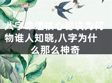 八字命理核心秘诀为何物谁人知晓,八字为什么那么神奇