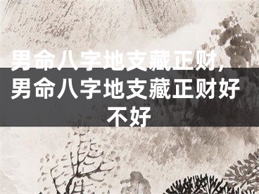 男命八字地支藏正财,男命八字地支藏正财好不好
