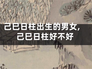 己巳日柱出生的男女,己巳日柱好不好