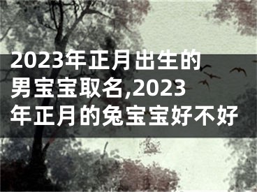 2023年正月出生的男宝宝取名,2023年正月的兔宝宝好不好