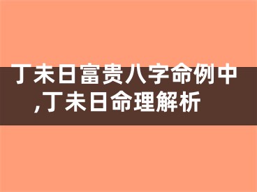 丁未日富贵八字命例中,丁未日命理解析