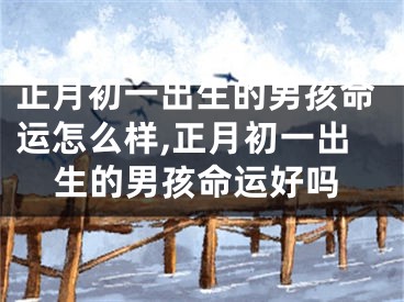正月初一出生的男孩命运怎么样,正月初一出生的男孩命运好吗