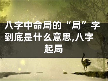 八字中命局的“局”字到底是什么意思,八字起局
