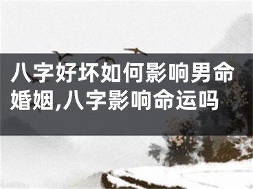 八字好坏如何影响男命婚姻,八字影响命运吗