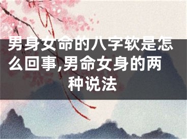 男身女命的八字软是怎么回事,男命女身的两种说法