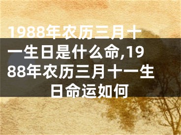 1988年农历三月十一生日是什么命,1988年农历三月十一生日命运如何