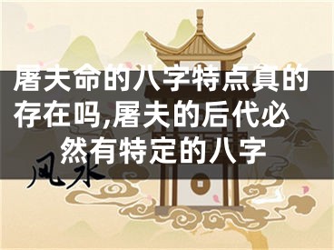 屠夫命的八字特点真的存在吗,屠夫的后代必然有特定的八字