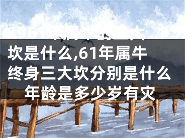 1961年属牛的三大坎是什么,61年属牛终身三大坎分别是什么年龄是多少岁有灾