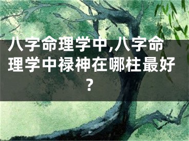 八字命理学中,八字命理学中禄神在哪柱最好?