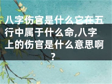 八字伤官是什么它在五行中属于什么命,八字上的伤官是什么意思啊?