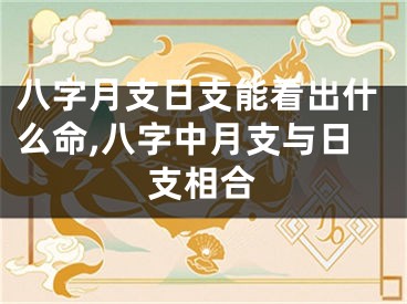 八字月支日支能看出什么命,八字中月支与日支相合