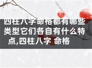 四柱八字命格都有哪些类型它们各自有什么特点,四柱八字 命格
