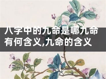 八字中的九命是哪九命有何含义,九命的含义