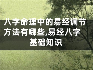 八字命理中的易经调节方法有哪些,易经八字基础知识