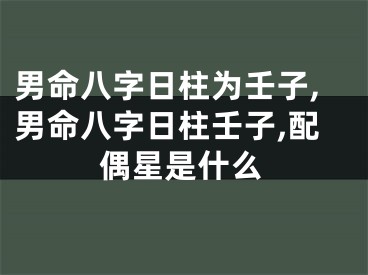 男命八字日柱为壬子,男命八字日柱壬子,配偶星是什么