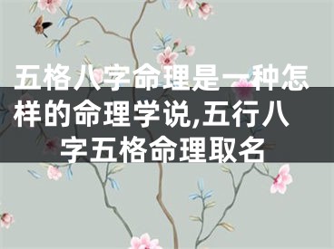五格八字命理是一种怎样的命理学说,五行八字五格命理取名