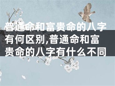 普通命和富贵命的八字有何区别,普通命和富贵命的八字有什么不同
