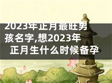 2023年正月最旺男孩名字,想2023年正月生什么时候备孕